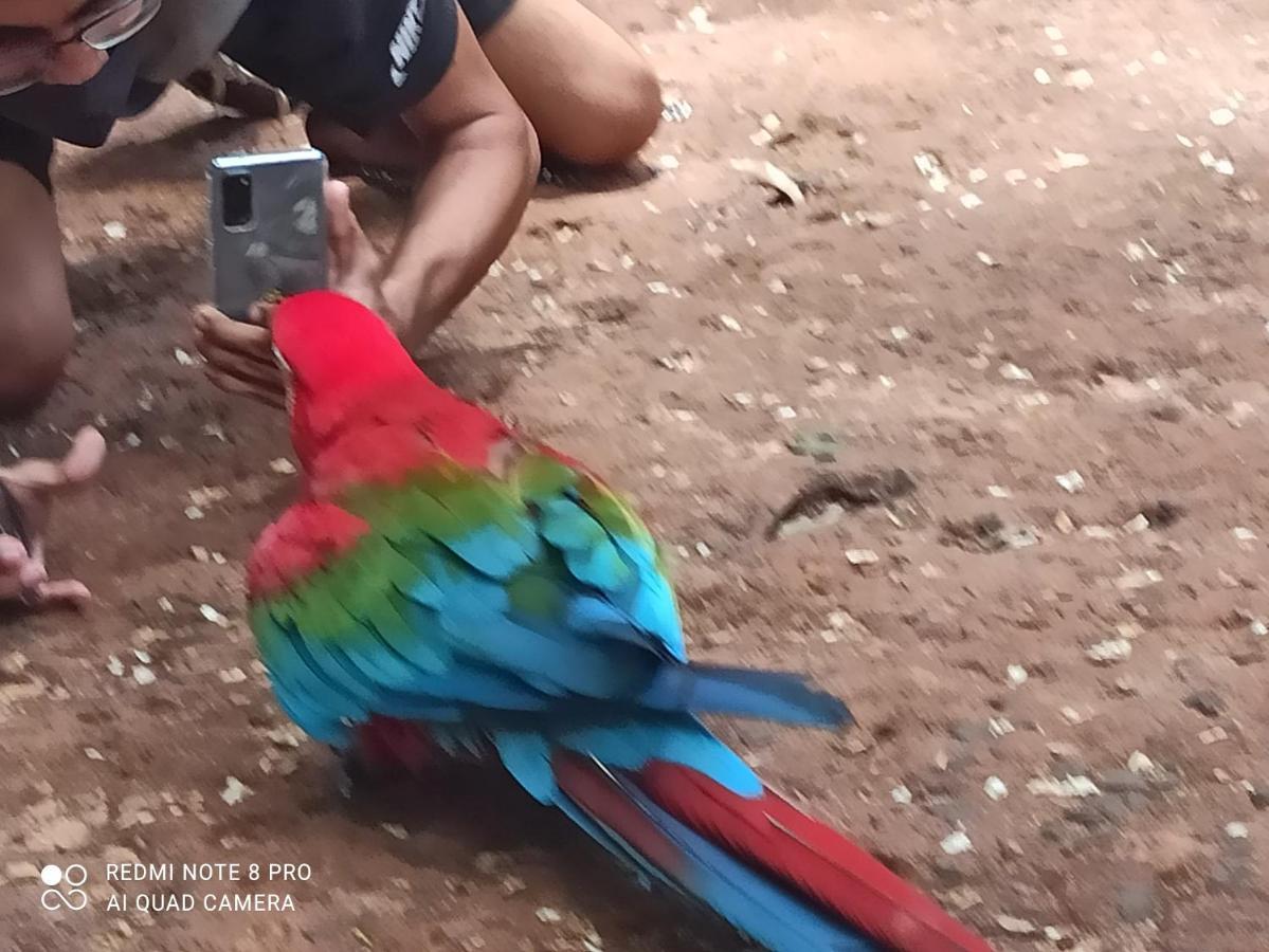 Hotel Casas Bom Sono Foz do Iguaçu Zewnętrze zdjęcie